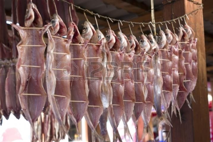 Visite du marché 2/6